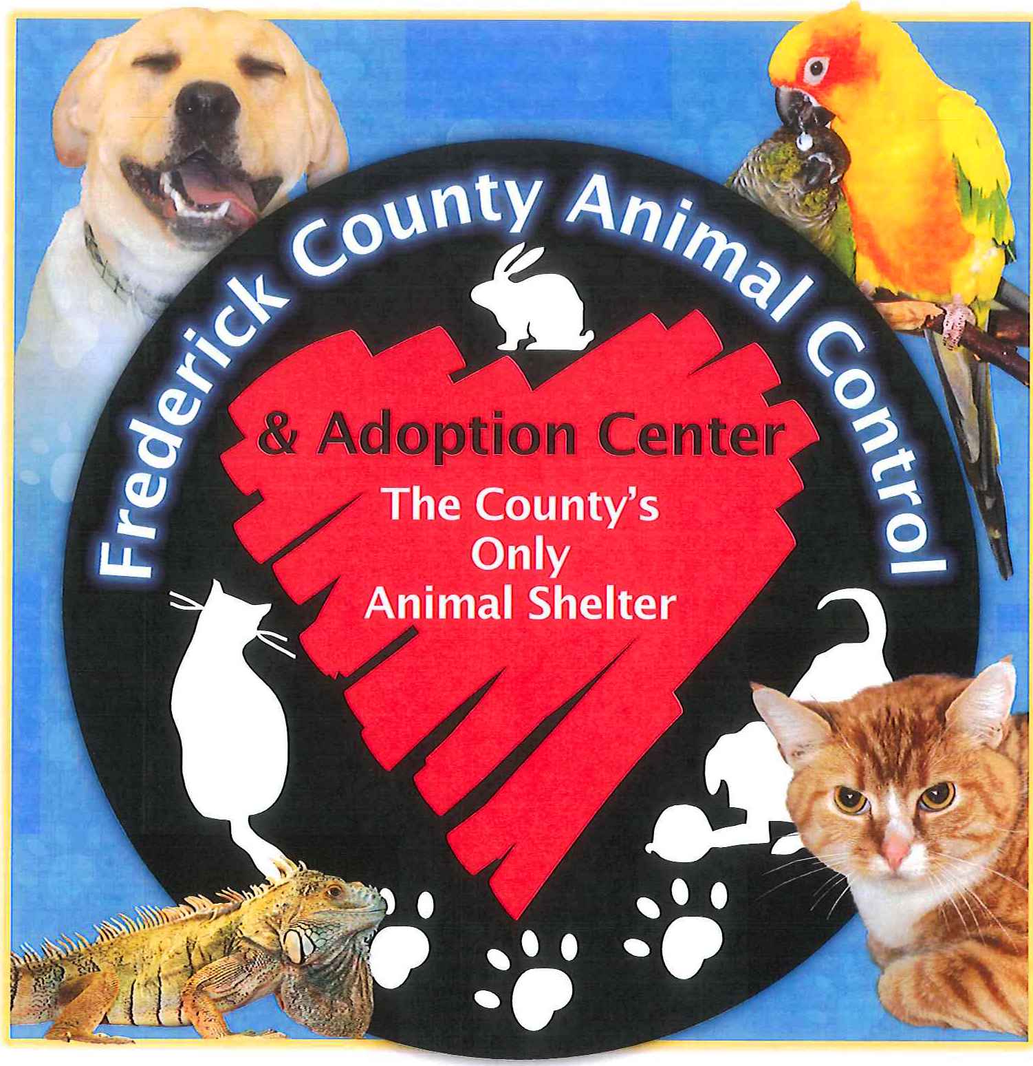 animal control logo